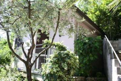 Casa rosa con albero e rampicante in giardino.