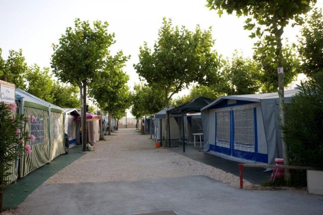 Sentiero con tende e alberi nei due lati.