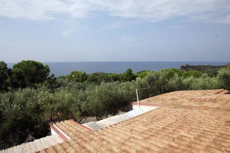 Vista del mare e alberi dalla cima di un edificio con tetto di tegole.