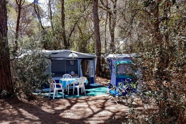Cieloverde Camping Village (GR) Toscana