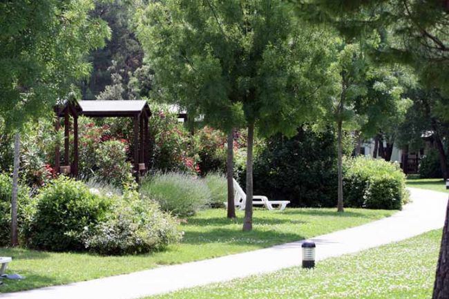 Un sentiero in un parco verdeggiante, con alberi e cespugli lungo i lati.