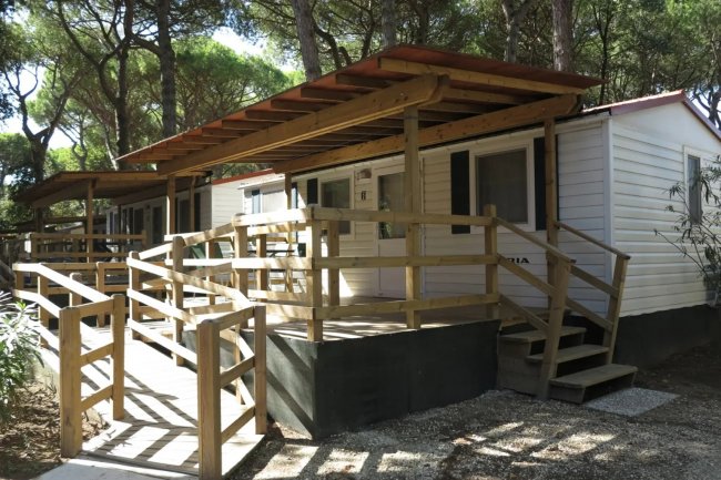 Bungalow in legno con veranda nel bosco.