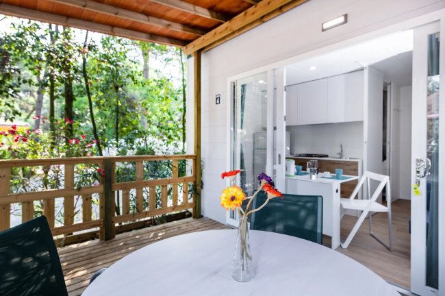 Veranda con tavolo e fiori, cucina moderna all'interno.