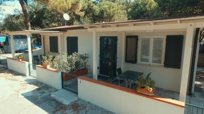 Bungalow bianco con veranda e piante.