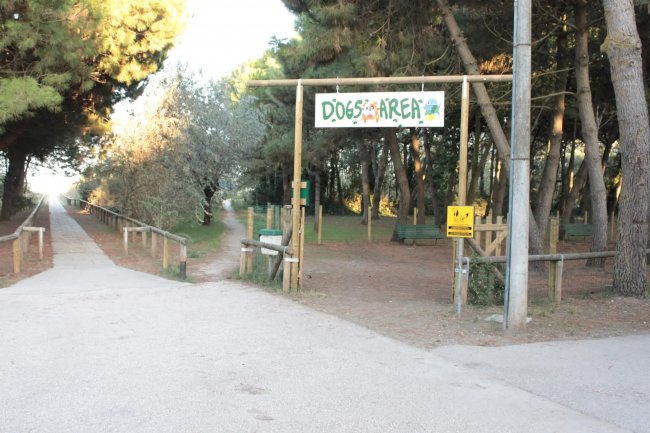 Area per cani in un parco alberato.