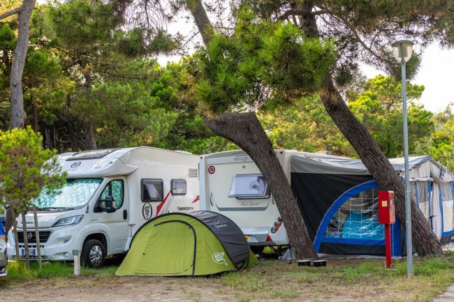 Camper e tenda posizionati sotto alberi ombreggiati.