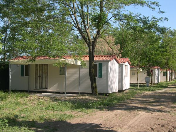 Case mobili bianche tra gli alberi.
