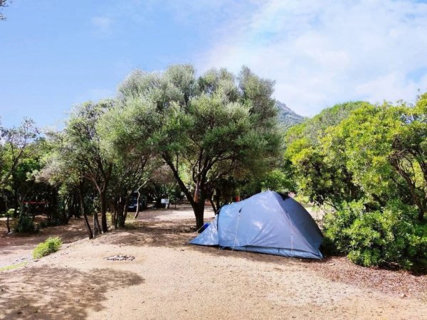 Tenda blu montata in un'area alberata.