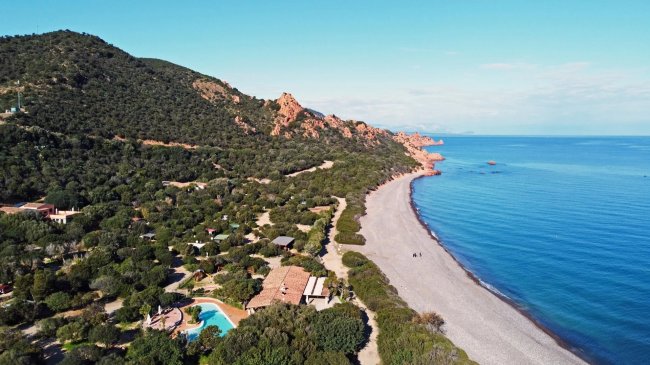Vista aerea di una spiaggia accanto a un bosco.