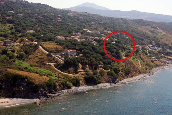 Vista aerea di una collina verdeggiante vicino al mare.