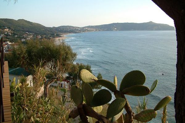 Una vista panoramica di una baia con spiaggia, colline e piante di fichi d'India.