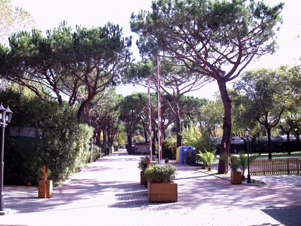 Camping Dal Pino (MS) Toscana