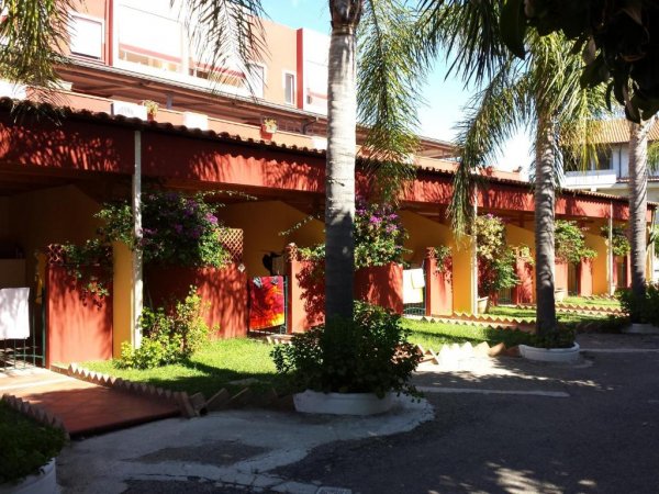 Edifici con portici e palme, circondati da aiuole verdeggianti in una giornata luminosa.