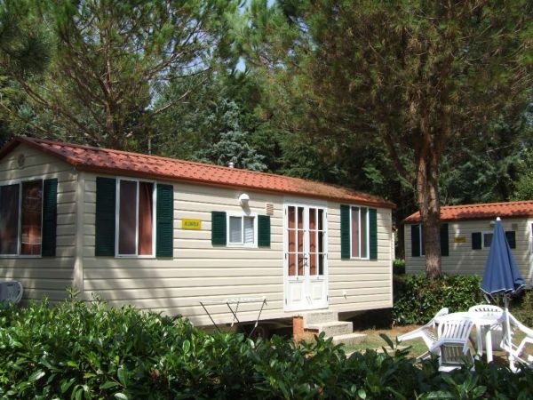 Casa mobile con finestre verdi tra gli alberi.
