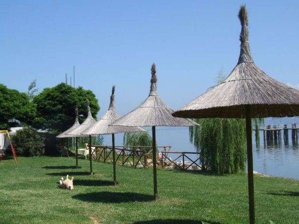 Ombrelloni di paglia su un prato vicino a un lago, con alberi e pontile sullo sfondo.