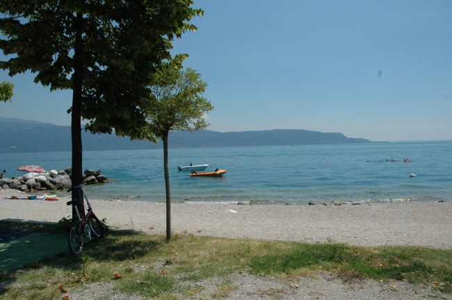 Albero vicino a una spiaggia di ghiaia, con biciclette parcheggiate e barche sull'acqua.