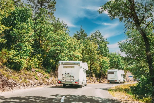Camper bianchi su strada boscosa.
