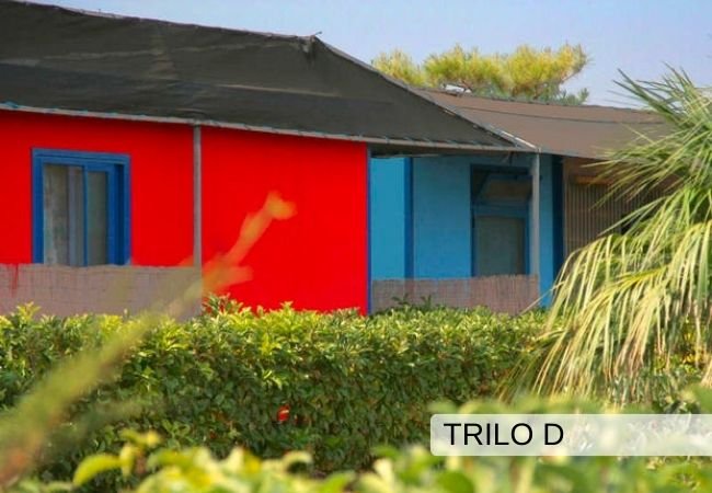 Case colorate rosso e blu, circondate da vegetazione.
